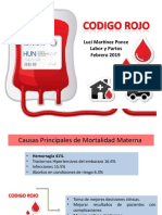 Causas principales de mortalidad materna y manejo de hemorragia obstétrica