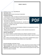 Proiect Didactic Ferigile