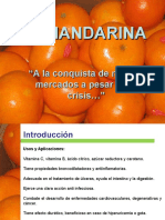 Mercado Mandarin As Peru - Final