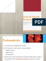 Acute & Chronic Pyelonephritis: Nurhanis Syahira Binti Jamal 0321429