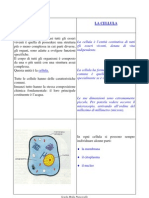 Cellula Struttura Internet