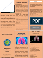 Leaflet Pneumothorax