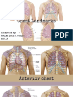 Auscultation Sites and Normal Breath Sounds