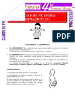 Etapas de Nuestro Desarrollo para Cuarto de Primaria