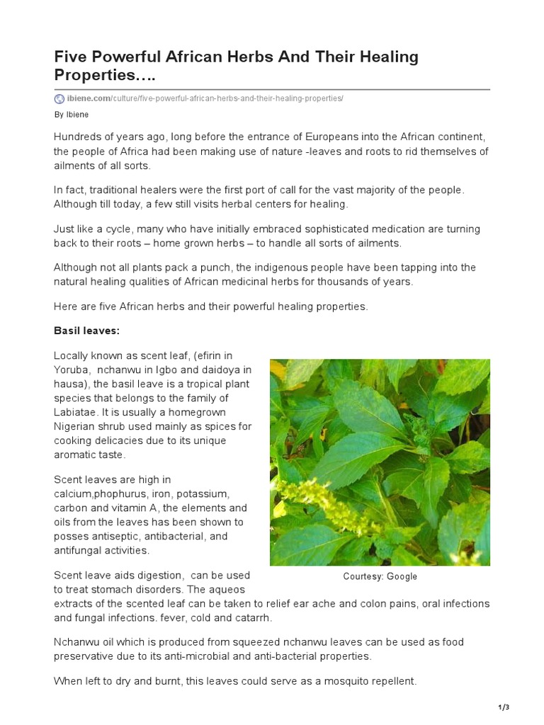 Africa intelligence overview