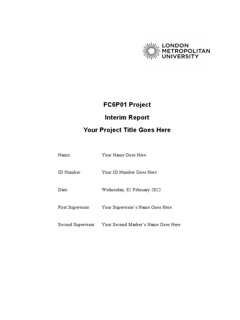 FC6P01 Project Interim Report Template | PDF