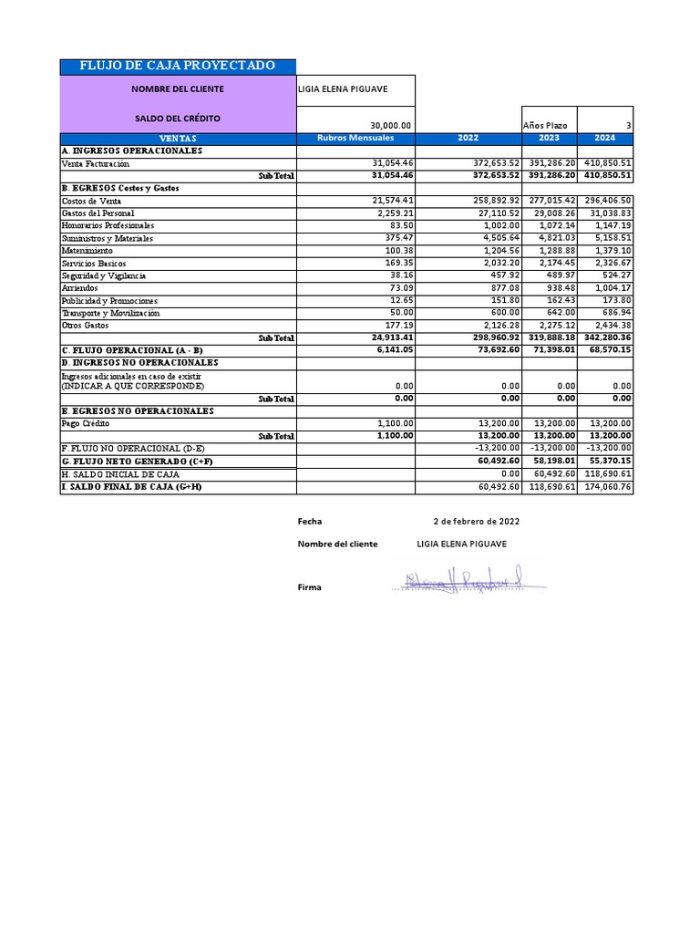 Flujo de Caja Proyectado | PDF | Economias | Amortización (Negocio)