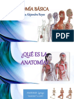 Anatomia