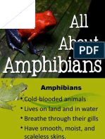 Amphibians