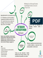 Mapa Mental Aula 1 - o Que Trabalhar Na Alfabetização