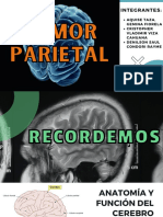 Tumor Parietal)