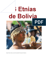 36 Etnias de Bolivia