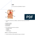 Ciencias Naturales Preguntas