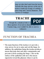 Presentation TRACHEA