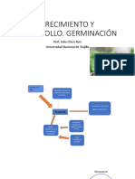 S11. Crecimiento, Germinación, Letargo