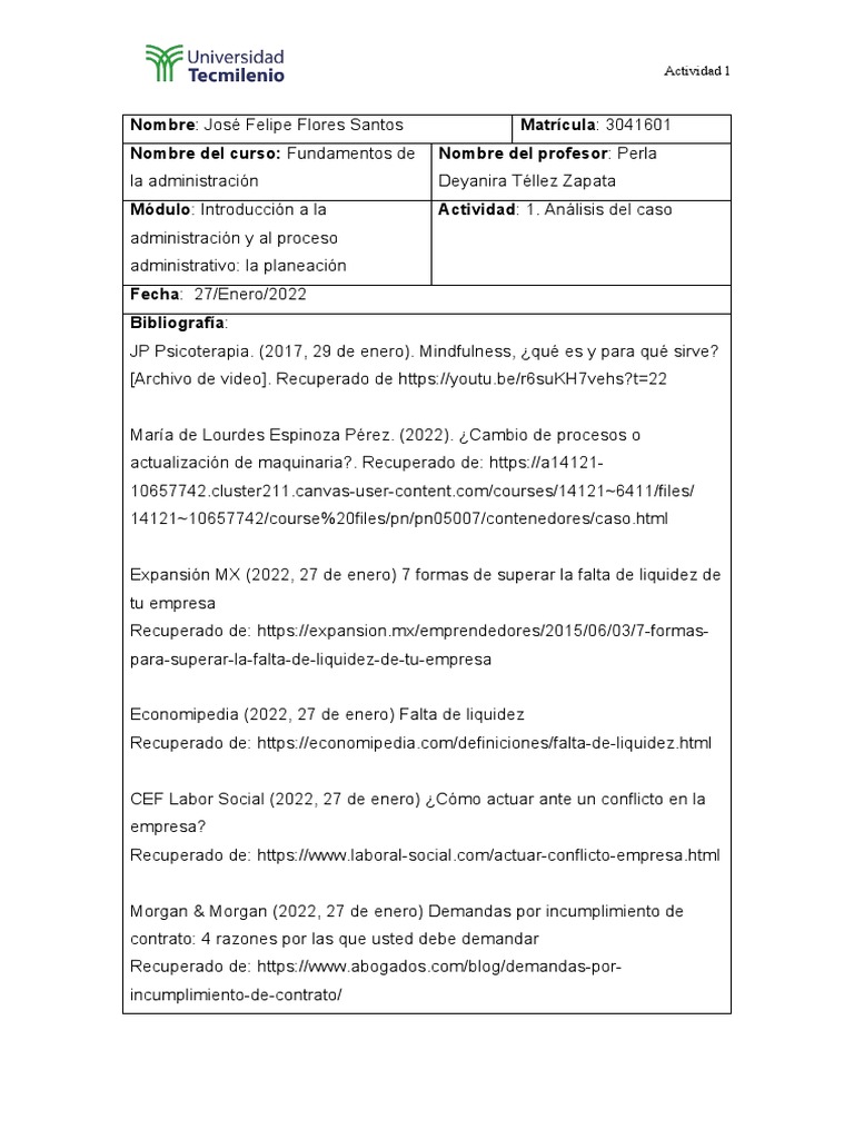 actividad-1-jffs-pdf-business-planificaci-n