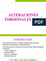 Alt Torsionales Mmii Expo.