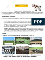 Trabajo N°15 Sistemas Agroambientales