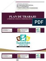 Plan de Trabajo Participacion Ciudadan