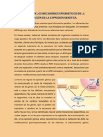Como Operan Los Mecanismos Epigeneticos en La Regulación de La Expresión Genetica
