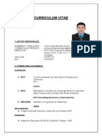 Curriculum Vitae Actualizado Cv ()