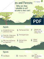 Kylie Gyug - Digital Learning Plan Trees and Forrests Slides