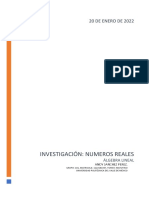 Investigación - Numeros Reales