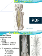 NRT 5 Medula Espinhal