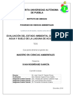 Rodriguez, G.I. (2019) - EVALUACIÓN DEL ESTADO AMBIENTAL DEL RECURSO AGUA Y SUELO DE LA LAGUNA DE ACUITLAPILCO