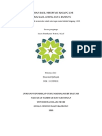 Laporan Hasil Observasi Magang 1 DR