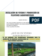 Técnicas para producir plantones en vivero forestal