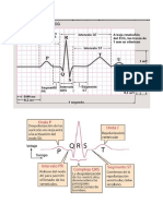 Electrocardiograma Basico