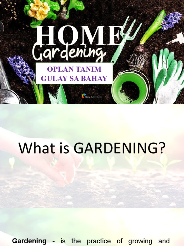 Home Gardening-INSET DAY 2 | PDF | Gardens | Compost