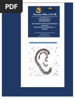 Discapacidad Auditiva