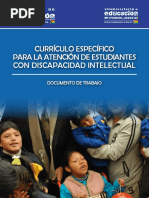 Curriculo Discapacidad Intelectual