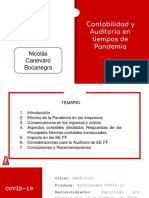 Contabilidad y Auditoria en Tiempos de Pandemia SET.2020