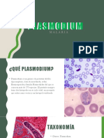 Plasmodium: causas, síntomas y prevención de la malaria