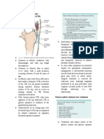 Hip Conditions 1