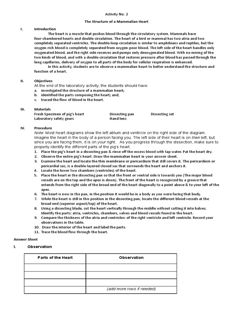 Lab Activity (Dissection of Pigs Heart) PDF Heart Circulatory System