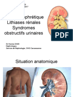 Coliques Nephretiques Lithiases Renales Syndromes Obstructifs Urinaires