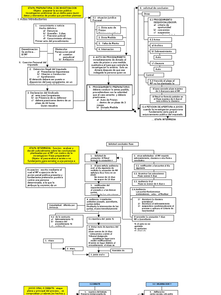 Esquema Del Proceso Penal