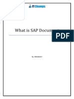 What Is SAP Document: By: Abhishek.P