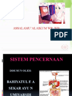 Sistem Pencernaan