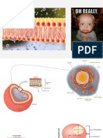 Membrane structure.pptx