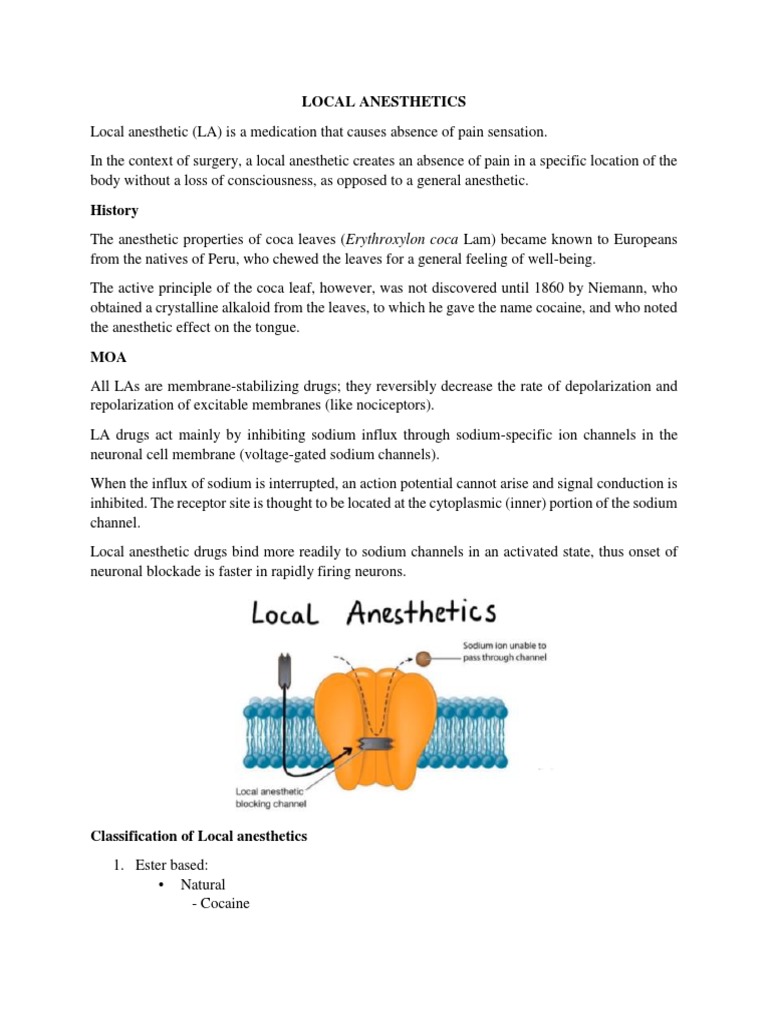 SAR and MOA of Local Anesthetics | PDF | Science & Mathematics