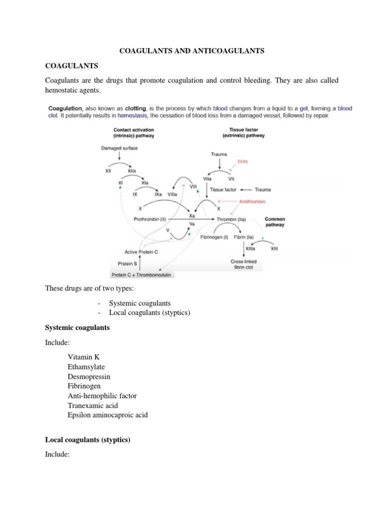 Coagulants vs Anticoagulants Explained | PDF | Wellness | Science ...