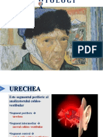1.1. Anatomia Urechii_DV