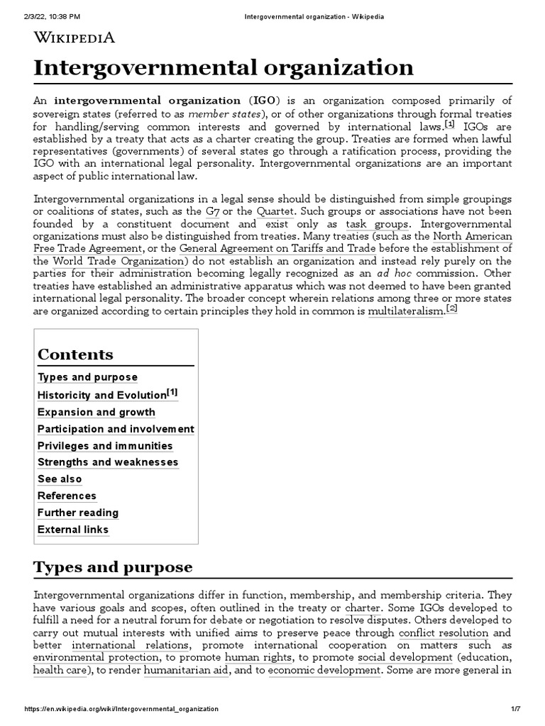 Intergovernmental Organization - Wikipedia | PDF | Global Politics ...