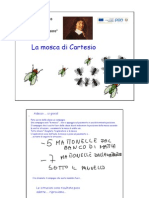 La Mosca Di Cartesio Mappa Del Tesoro