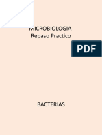 Laminas Micro Lab Bacterias